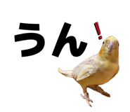 855674484