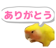855674486