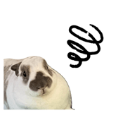 855674490
