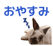 855674495