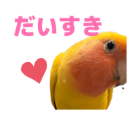855674503