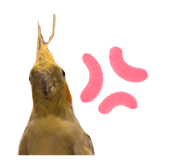 855674504