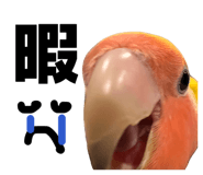855674505