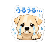 855674613