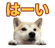 855674677