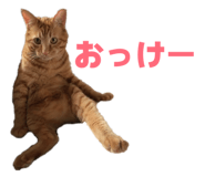 855674782
