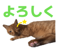 855674783