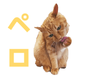 855674786