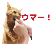 855674787