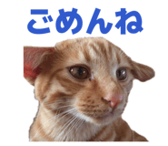 855674793