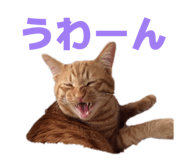 855674794