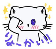 855674891