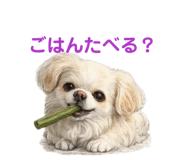 855674965