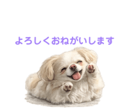 855674968