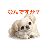 855674970