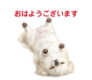 855674974
