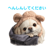 855674982