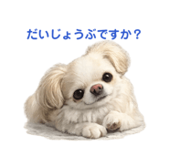 855674983