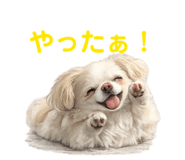 855674984
