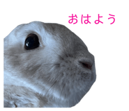 855675201
