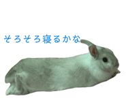855675202