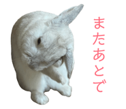 855675204