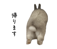 855675207