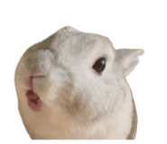 855675220