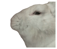 855675223