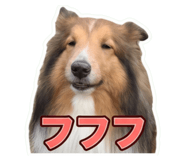 855675234