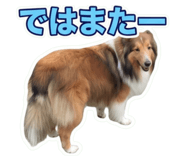 855675235