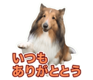 855675237