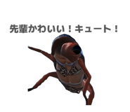 855675492
