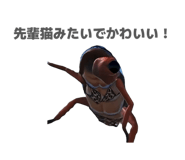 855675496