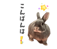 855675509