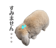 855675516