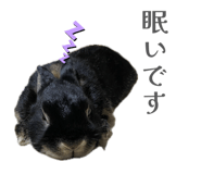855675524