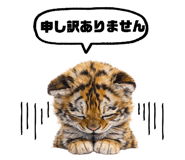 855675670
