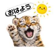 855675682