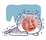 855675760