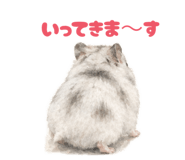 855675771