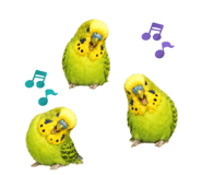 855675797
