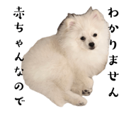 855675872