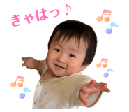 855675953