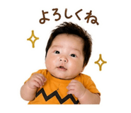 855676058