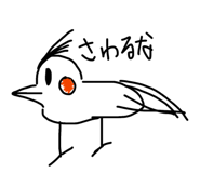 855676080
