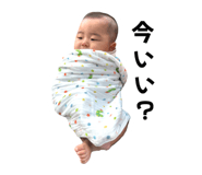 855676581