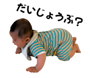 855676585