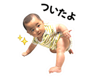 855676594
