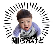 855676827